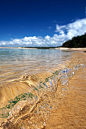 River Glass (by Adam Smith)