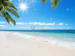 海滩,地形,鸡尾酒,水,天空,留白,沙子,夏天,棕榈树,白色