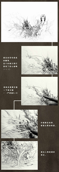 菜菜雪要坚定向前采集到黑白线插