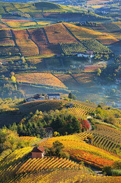 Z无忧采集到风景