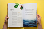 Meng Zhang on Behance