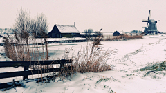 没有睡觉采集到背景-雪地