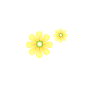 花花