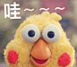 日本鹦鹉兄弟docomo表情包下载|日本鹦鹉兄弟表情包下载GIF最全完整版_西西软件下载