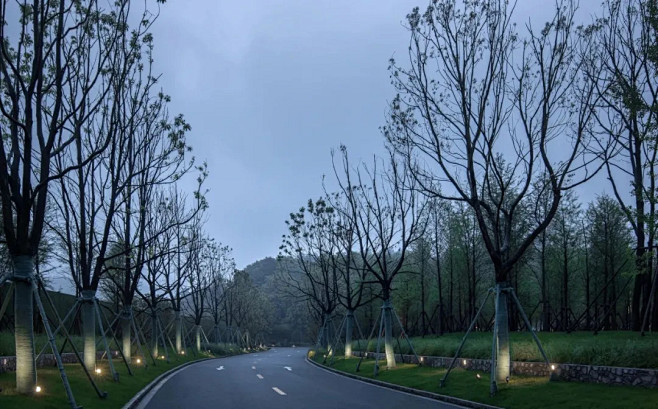 山，就在那里 | 长沙新城·观山印