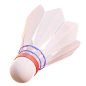 Shuttlecock  3D Icon