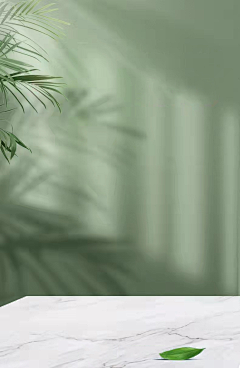 叫我泽呀!采集到简约场景花卉