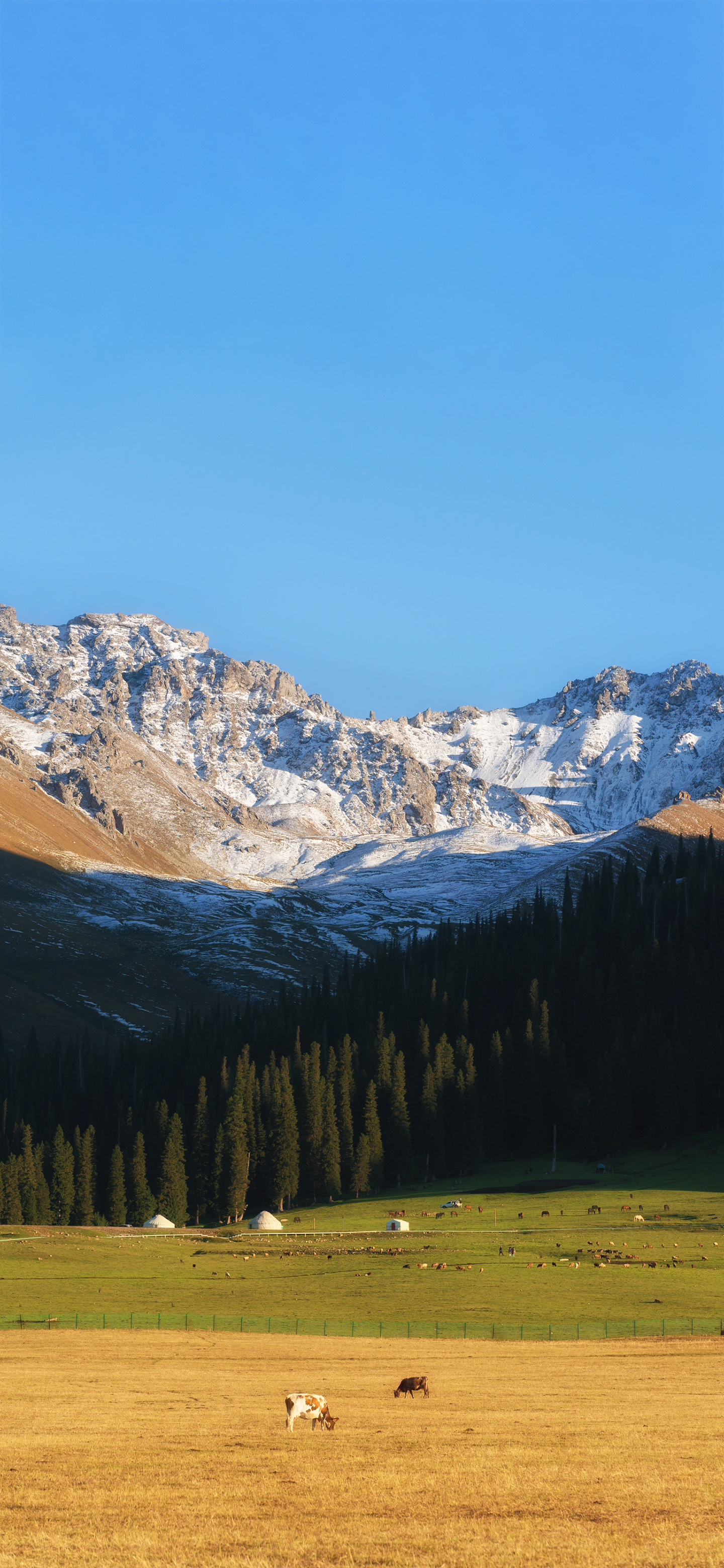 又发现一张还不错的手机壁纸