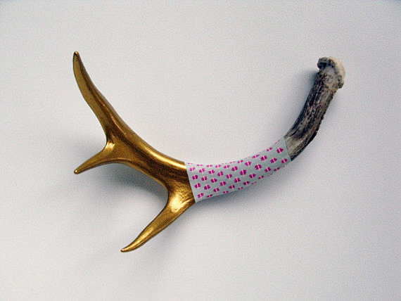 Painted Antler - SMA...