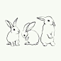兔子 兔兔 插画