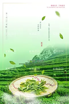 茶背景  - 源文件下载【酷图网】春茶上市海报,新茶,绿茶海报,高山绿茶,云雾茶,云雾绿茶,高山云雾茶,毛尖,毛尖茶,信阳毛尖,毛峰,毛峰茶,竹叶青茶,竹叶青,新茶上市,泡茶,茶壶,养生茶,功夫茶,茶文化,