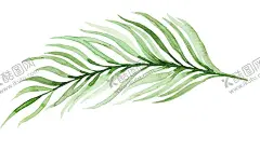 水墨 【酷图网】水墨,水墨圈,古风,水彩,手绘,晕染,泼墨,圆环,圆圈,大气,效果,装饰,装饰图案,素材图,海报背景,背景,图案,淘宝背景,免扣,边框,花簇,绿色,花框,素材,元素,底纹,文化,图片,传承,中国风,节气,小元素,绿色水墨