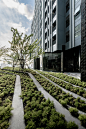 IDEO Samyan-Rama4 Version 2 By A49 x TROP : Project type: Residential Archtects: A49 Architects Ltd. / TROP Landscape Ltd. Client: Visavapat Location: 788 Rama 4 Si Phraya, Bang Rak, Bangkok 10500 Project Year: 2016 Photographs: Poompat Waratkiachthana