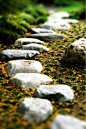 43 Awesome Garden Stone Paths | DigsDigs