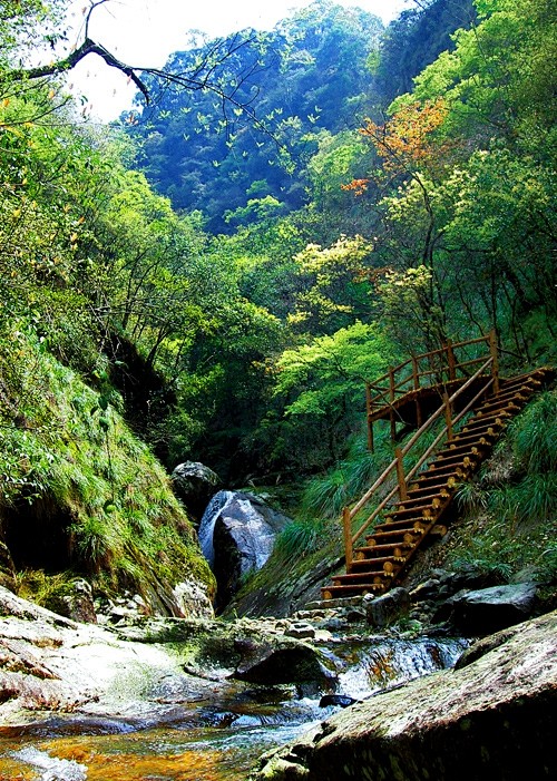 【森林公园景色】武夷山风景秀丽，历史悠久...