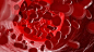 绘画插图,人血细胞,血凝结,血小板,细胞图片undefinedID:VCG41N1124678001