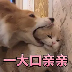 表情包前天打下来了 昨天又提交了 继续等呗... 来自牛春儿大肥猪 - 微博