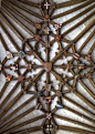 Canterbury Cathedral Cloister Ceiling