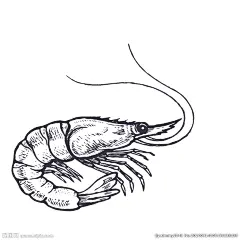 餐饮食物插画元素