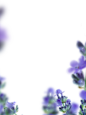 来自相册