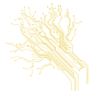 b00