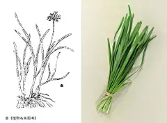 二月四日 立春 | 乐活良品 | 美好生活实践者
