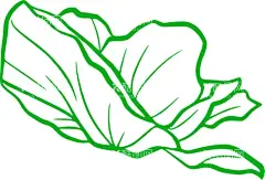 花系统  - 源文件下载【酷图网】花,鲜花,花卉,手绘花卉,手绘花卉框架,线条花,角花,花纹,玫瑰花,太阳花,花苞,花骨朵,花型,花心,花形状,线条画,素描花,花朵