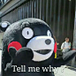 熊本表情包