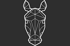 andhere1212采集到马－logo