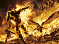 Fiery Temper, Johannes Voss : For Magic: The Gathering