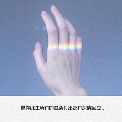 风起时-ALISON采集到Sentence
