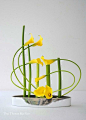 Art Floral Ikebana Mai Van Thai Thomas: 