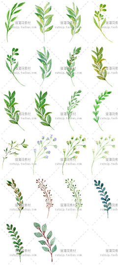 云里采集到植物手绘
