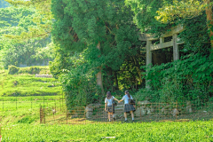 YamatoKaka采集到构图和场景(光影)