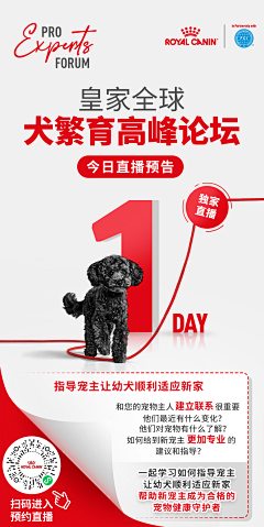 hoo123采集到工作记录
