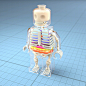 3D anatomy ILLUSTRATION  LEGO skull toy