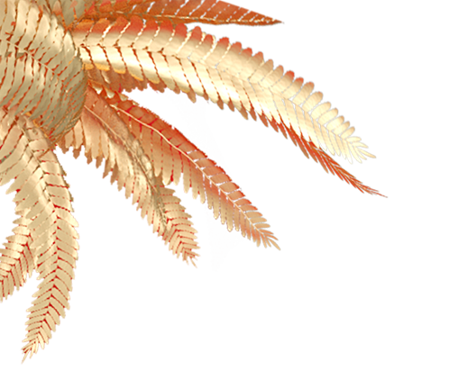 椰子树叶子png (25)