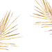 金色叶子