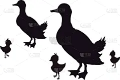 家庭,动物,农场,图标,鸭子,可爱的,农业,清新,食品,哺乳纲