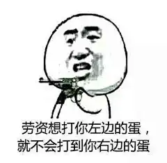38024劳资想打你左边的蛋，就不会打到你右边的蛋 斗图 表情包 花瓣搜索【关键字+飞天胖虎】可以找到系列表情包