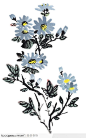 中国国画-盛开的蓝色花朵下载，现在加入素材公社即可参与传素材送现金活动
