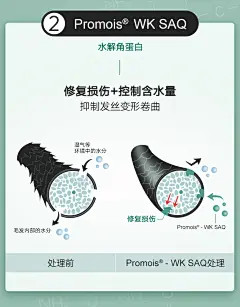 littletouch 洗发水露烫染受损修复柔顺改善毛躁干枯男女持久留香-tmall.com天猫