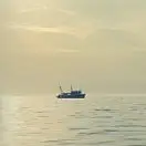 月梦残天