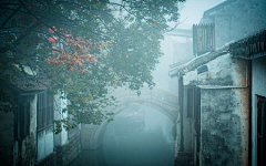 陆无言采集到美美的风景