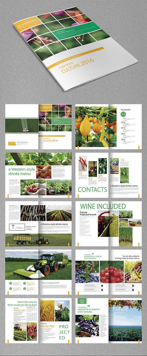 个性 农产品画册 农业画册素材 有机蔬菜...