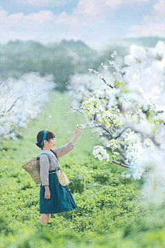 太阳女神的徒弟采集到风景