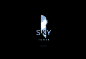 SKY TOWER - Logo pack - 来自Behance