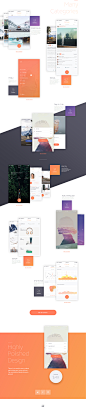 Livo UI Kit on Behance