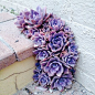 purple pavement succulents: 
