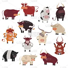 母牛,小母牛,卡通,可爱的,反差,动作,农业,横截面,肖像,脊椎动物